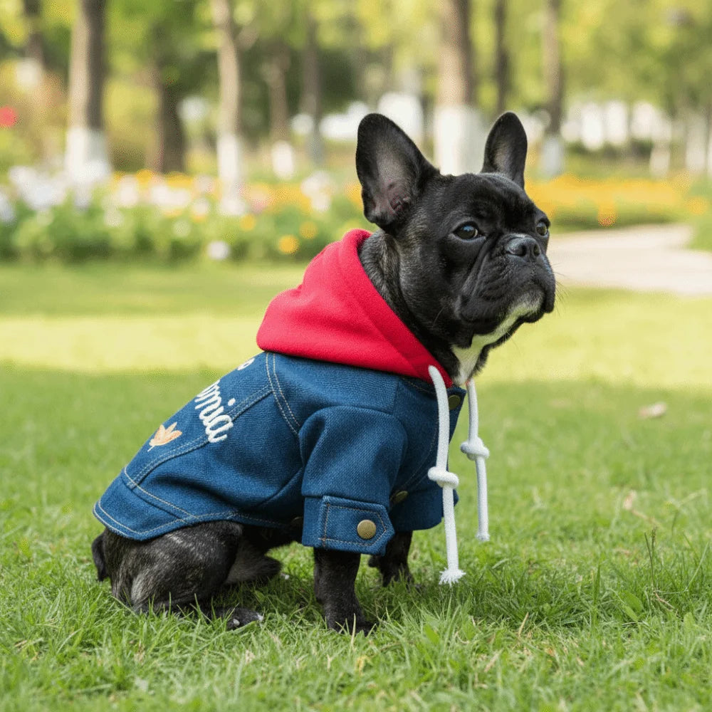 Fashion Letter Embroider Pet Denim Hoodie Comfortable with Drawstring Dog Jean Jacket Windproof Pet Cowboy Outfit Spring Autumn Oasis Select