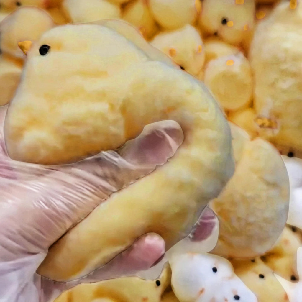 Handmade Yellow Big Chicken Plush Silicone Squishy Pinching Toys Cute Hen Chicks Taba Squeezing Gift Toy Cute Squishy Chick Oasis Select