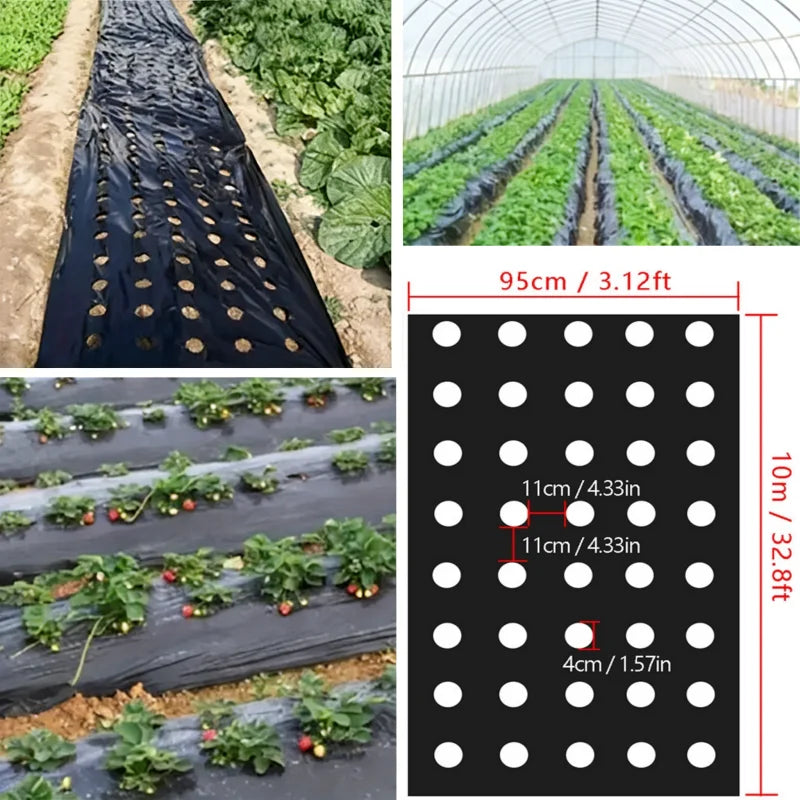 Durable Perforated Weed Barrier Fabric Black Grass Proof Coth for Vegetable Cultivation Farms Gardens Prevent Weeds Growth Oasis Select