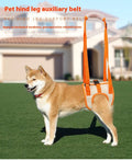 Hind Leg Support, Elderly Dogs, Disabled Dogs, Rehabilitation Exercise Belts, and Upstairs Assistance Belts Oasis Select orange Waist28-36cm Leg17cm