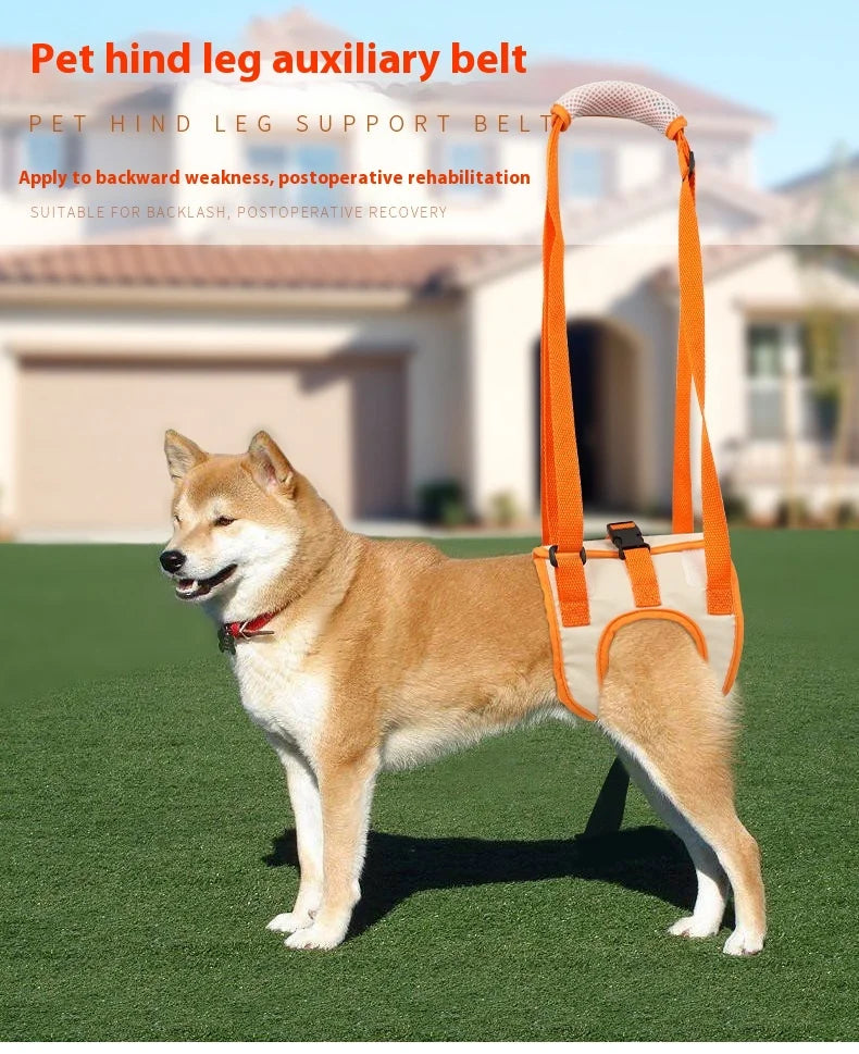 Hind Leg Support, Elderly Dogs, Disabled Dogs, Rehabilitation Exercise Belts, and Upstairs Assistance Belts Oasis Select orange Waist28-36cm Leg17cm