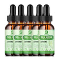 BEWORTHS Organic Seamoss Drops with Burdock Root and Spirulina Support Immunity and Gut Health, Help Digestion Weight Management Oasis Select 5bottles United States