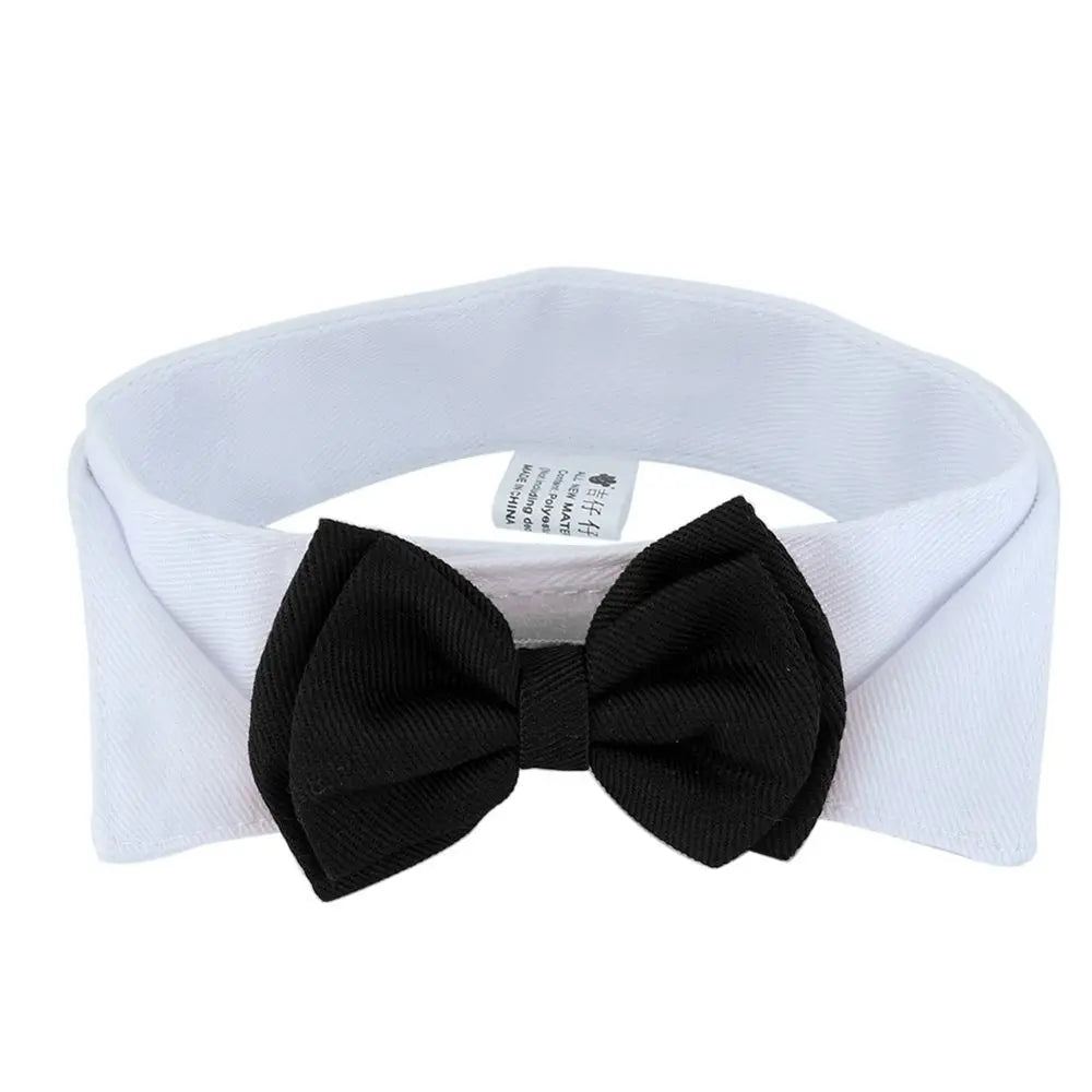 Adjustable Pet Bow Tie Collar for Small Dogs & Cats