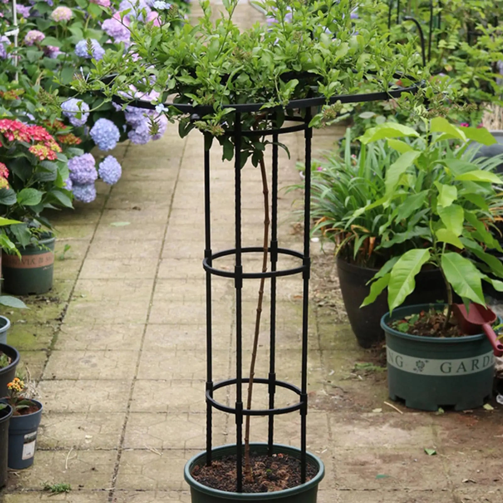 Trellis for Climbing Plants Outdoor Vegetable Vertical Support Frame Outdoor Gardening Support Trellis for Climbing Plants Oasis Select