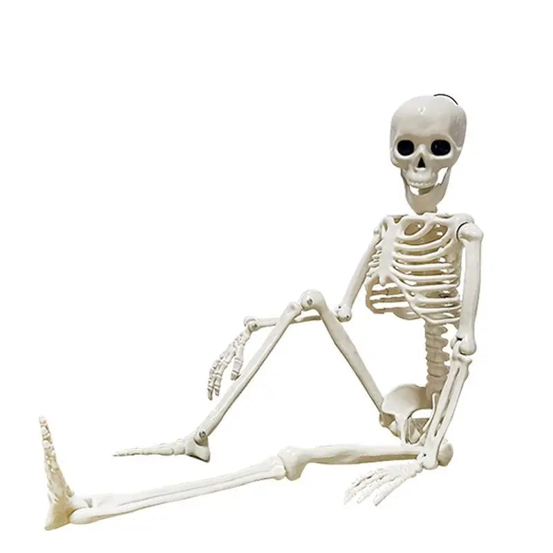 Halloween Skeleton 60cm Artificial Human Body Plastic Skeleton Decoration Haunted House Holiday Scene Layout Props Oasis Select
