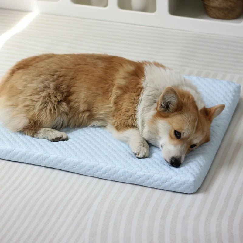 Pet MATS Are Detachable and Washable. Summer Cool Ice MATS Cat Mat and Dog MATS Dog Beds for Large Dogs Oasis Select