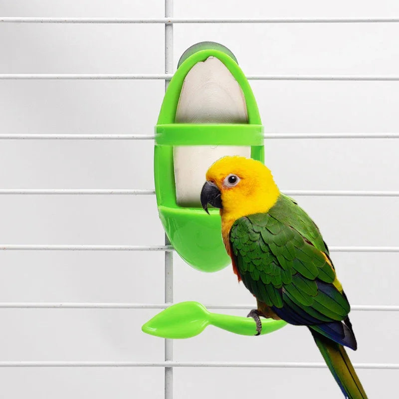 1PC Bird Cage Feeding Holder for Parrots Budgies Parakeets Cockatiels Cuttlebone Vegetable & Fruit Feeder Oasis Select