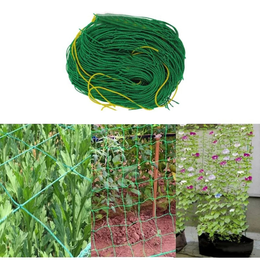 Multifunctional Climbing Rattan Net Green Gardening Lattice Net Heat-resistance Vine Climbing Rack Net for Cucumbers Watermelons Oasis Select