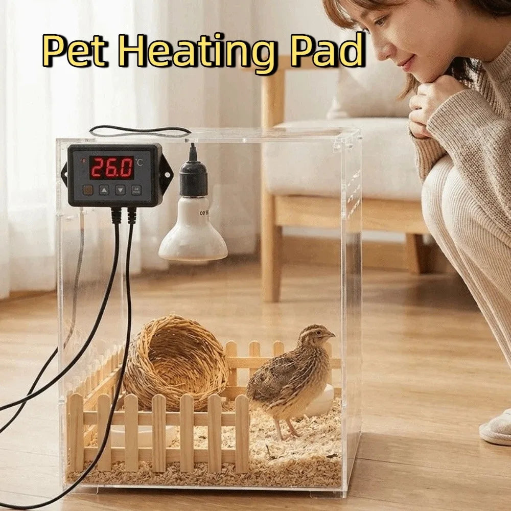 USB Reptile Heating Pad | Waterproof, Thermostat & Timer