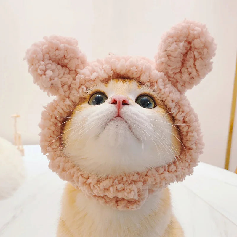 Internet Celebrity Pet Cat Lion Head Rabbit Ears Frog Bear Pet Hat Funny Headwear Oasis Select Pink bear S