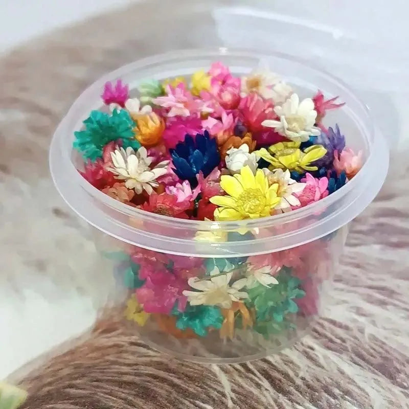 1box Small Resin Dried Flowers - Ideal for DIY Jewelry Earrings, Epoxy Art & Candle Making Art Craft Home Decor Photo Prop Oasis Select
