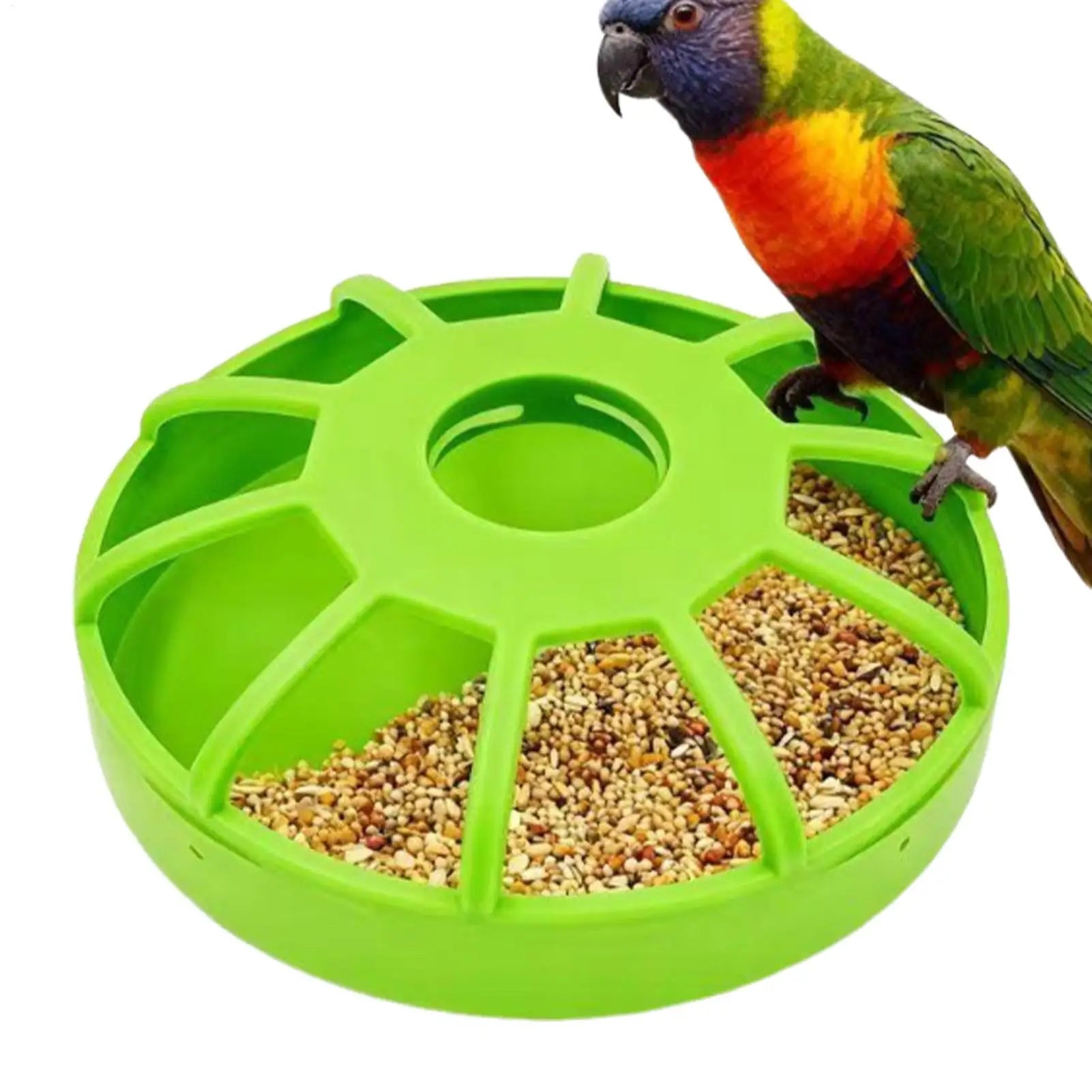 Poultry Feeder Spill Proof Non Slip UV Resistant Chicken Coop Feeder Food Storage for Parakeet Pigeon Quail Duck Home Cage Oasis Select
