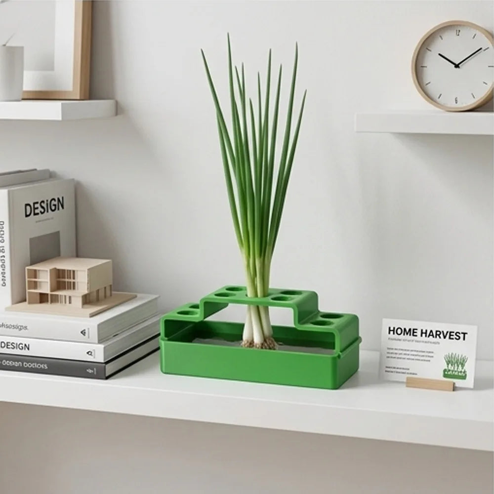 9 Holes Windowsill Self Watering Hydroponic Planter Box Water Culture Planter Scallion Herb Leafy Vegetable Home Gardening Gifts Oasis Select