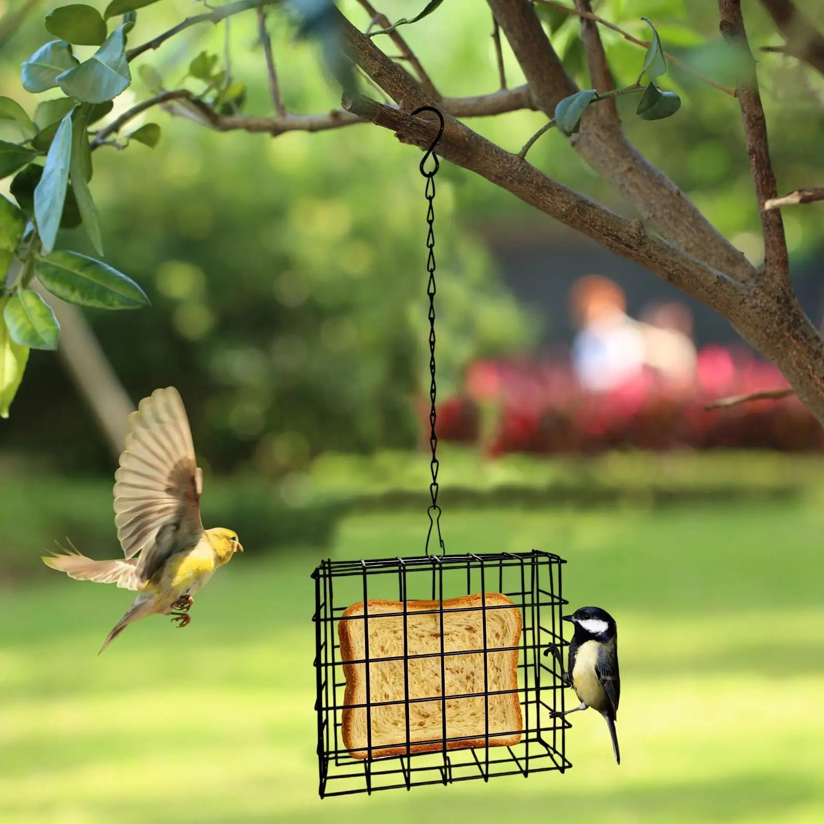 Suet Feeder Squirrel Proof Reusable Birdwatching Station Bird Suet Feeder for Balcony Garden Yard Patio Outdoor Hummingbirds Oasis Select
