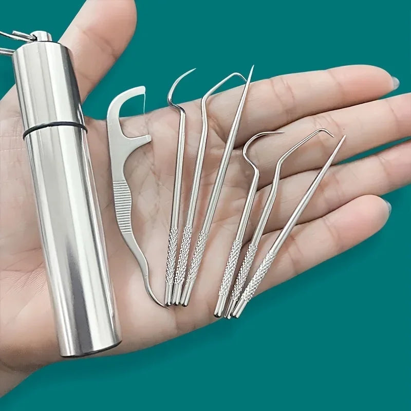 Stainless Steel Toothpick Set Reusable Toothpicks Tooth Flossing Tartar Removal Tool Portable Teeth Cleaner for Tooth Oral Clean Oasis Select