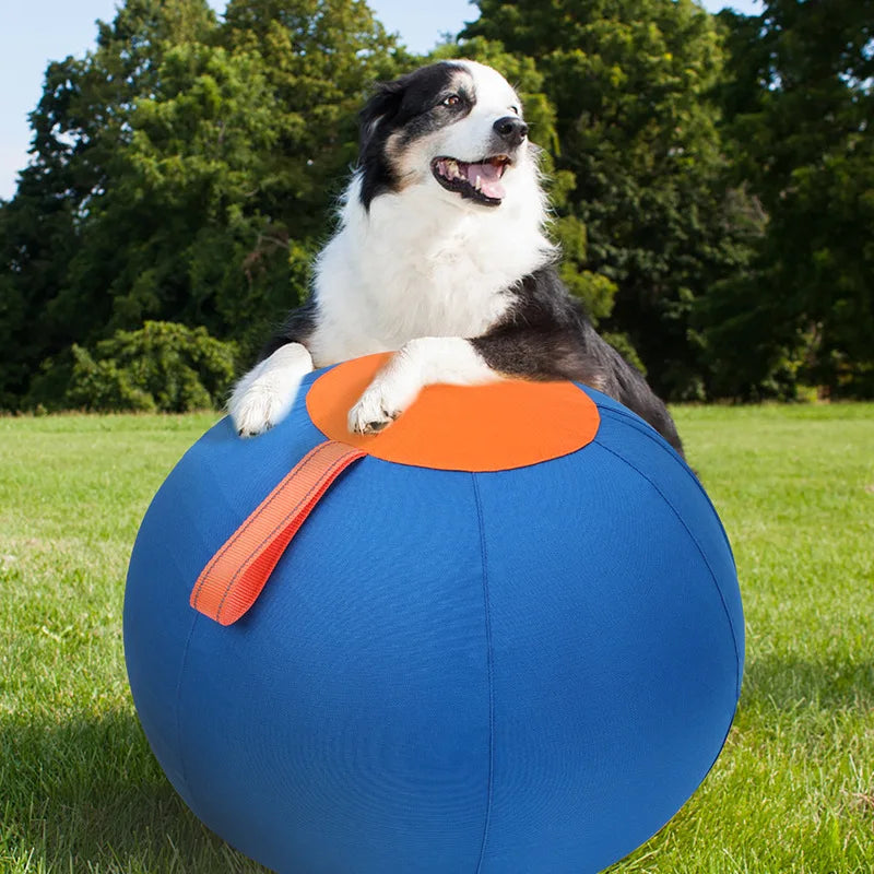 Dog Herding Ball Thickened Anti-Burst & Tear-Resistant Interactive Chew Toy Fun Training Exercise Ball for Pet Dog Outdoor Play Oasis Select