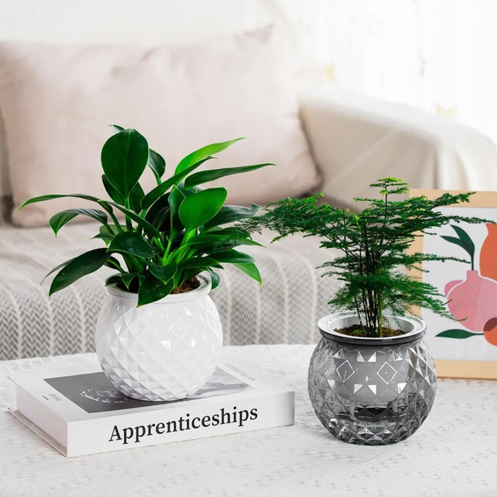 Self-Watering Hydroponic Planter | Mini Succulent Tabletop Pot