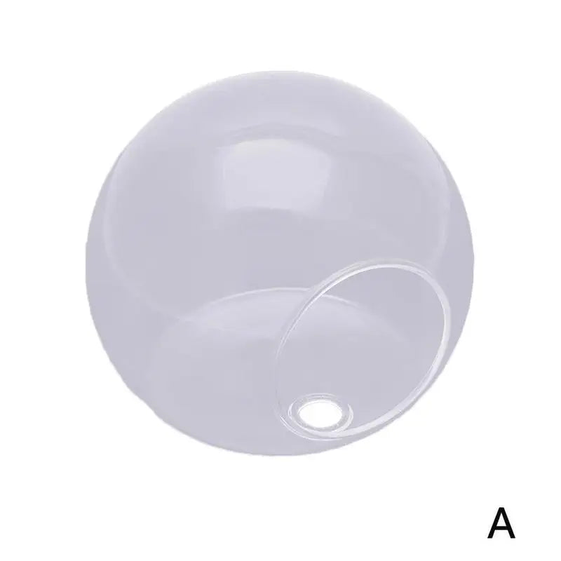 Wall Mounted Hydroponic Vase Betta Fish Tank Creative Acrylic Planter For Home Office Wall Decoration Space Saving Tools Oasis Select 10cm