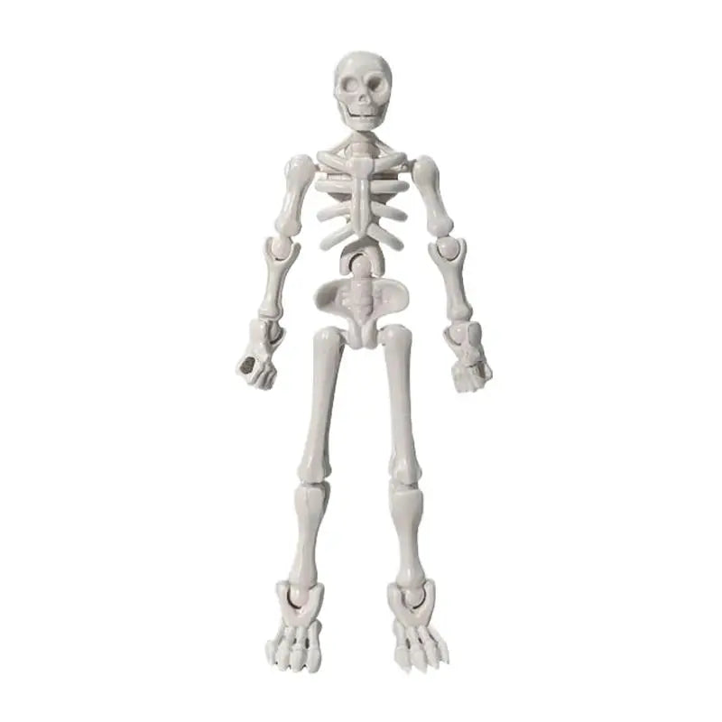 3D Skull DIY Assembly Toy – Articulated Mini Skeleton Model