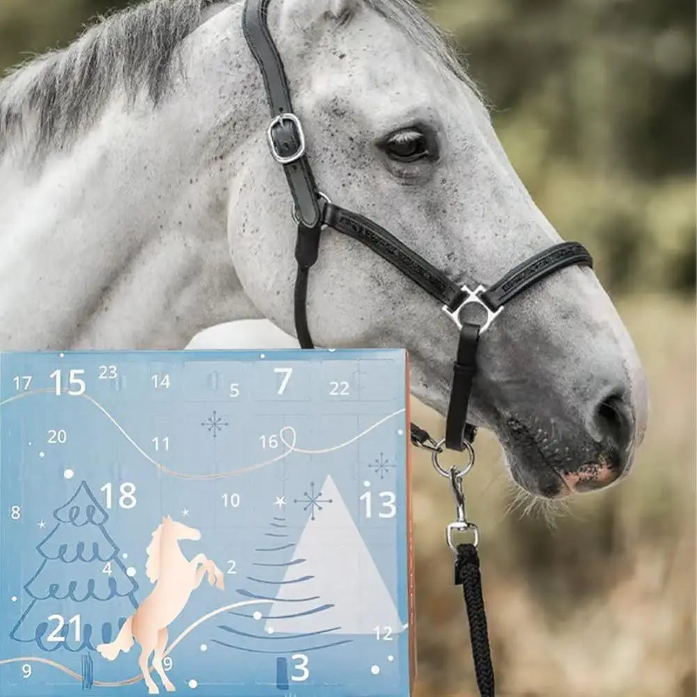 HORSEBRANDS Advent Calendar 2025 24 Days Countdown Surprises Gifts (7*Equipment, 9*Care, 5*Fashion, 3*Lifestyle) For Horse Love Oasis Select