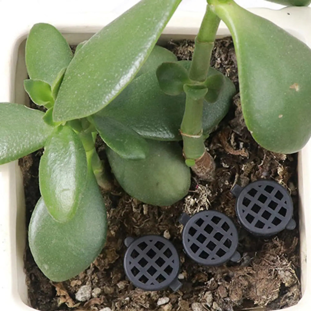 10Pcs Bonsai Fertilizer Box Mini Automatic Planting Basket Slow Release Fertilization Container Cover Portable Nursery Pot Oasis Select