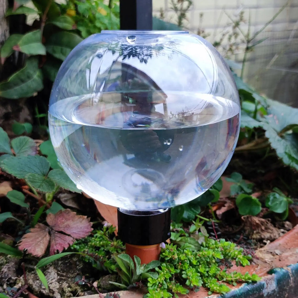 500ml Spherical Automatic Watering Ball Self Watering Plant Watering Bulbs for Garden Flower Plants Watering Balls Device Oasis Select