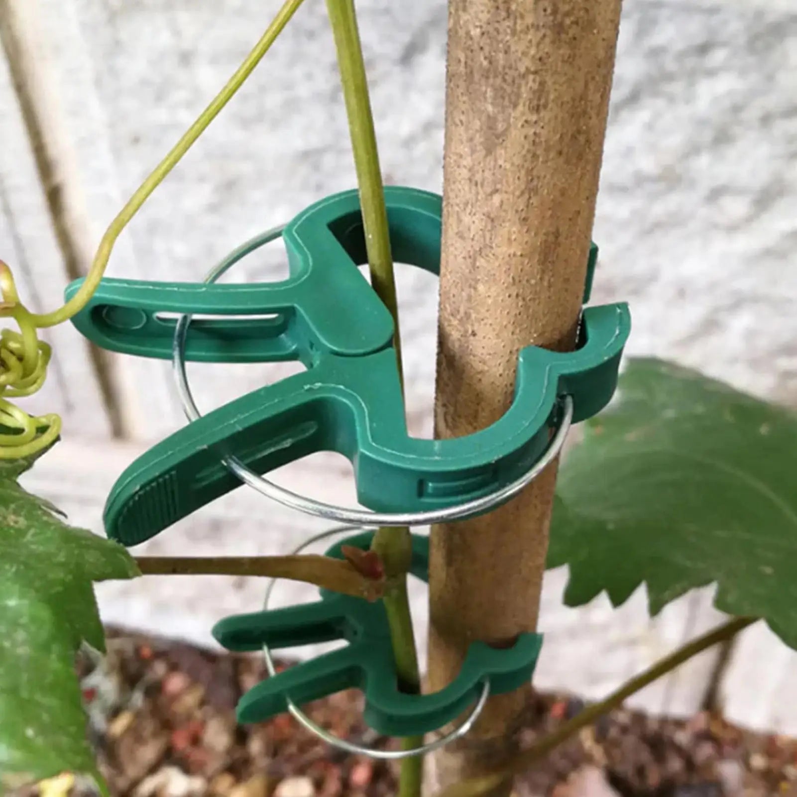 Plant Clips 20Pcs Plant Fixed Clips Reusable Garden Greenhouse Bracket Garden Plants Vine Climbing Clamp Flower Tomato Support Oasis Select