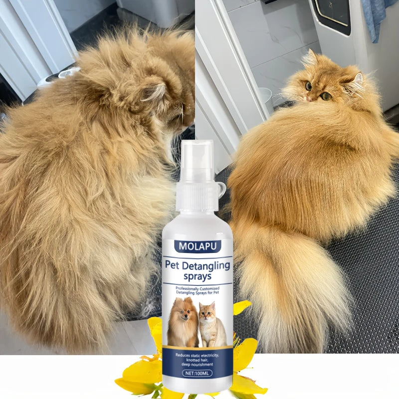 Cat and Dog Hair Tangle Prevention Spray – Leave-In Conditioner to Detangle Pet Hair. A Professional Formula Specifically Designed for Pet Grooming to Prevent Hair from Getting Tangled. This Spray Also Reduces Static Electr Oasis Select