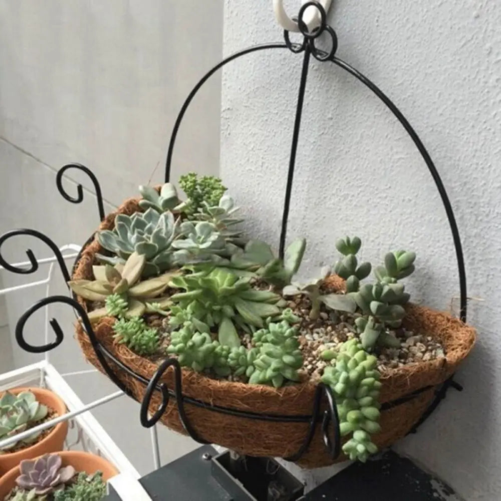 Semi-hand Coconut Palm Succulents Yard Balcony Wall Hanging Flowers Hanging Basket Flower Pot Garden Supplies Decoration Oasis Select