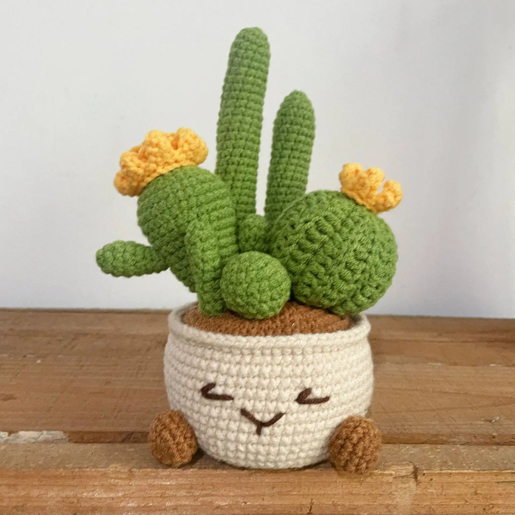 Handmade Flower Pot Succulent Pot Weaving Car Center Console Decoration Tabletop Decoration Decoration Finished Oasis Select