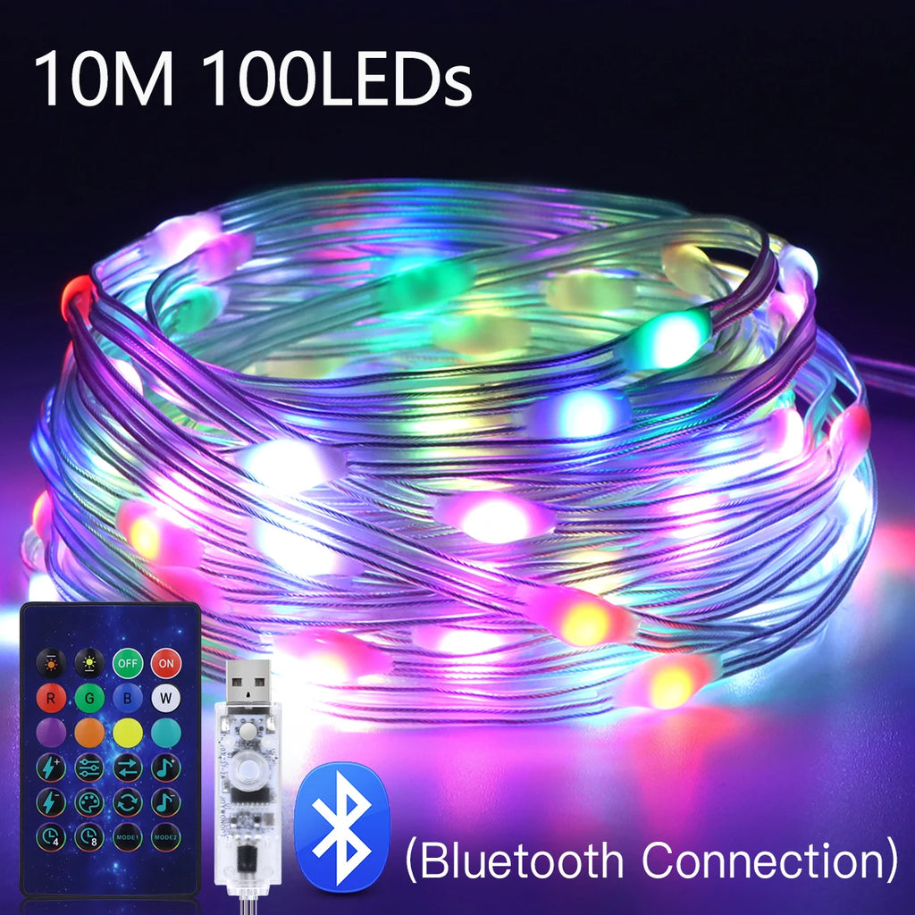 Dreamcolor WS2812B RGBIC Bluetooth APP Control LED String Lights DIY USB Lamp Fairy Garland for Party Festival Tree Wedding Deco Oasis Select 10M 100LEDs