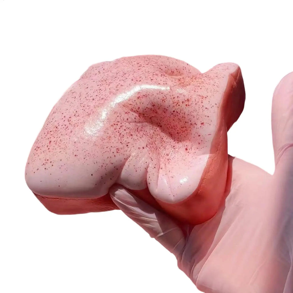 Squishys Simulated Toast Bread Squeeze Toy Slow Rising Stress Relief Toys Sensory Fidget Toy For Anxiety Stress Fidget Toys Oasis Select