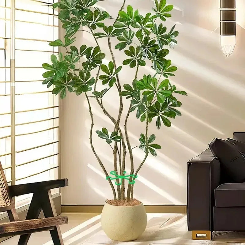 Flower Plant Stem Support Stakes Climbing Houseplant Stand Frame Plastic Garden No Stake Trellis Indoor Plant Holder Rack Hoops Oasis Select