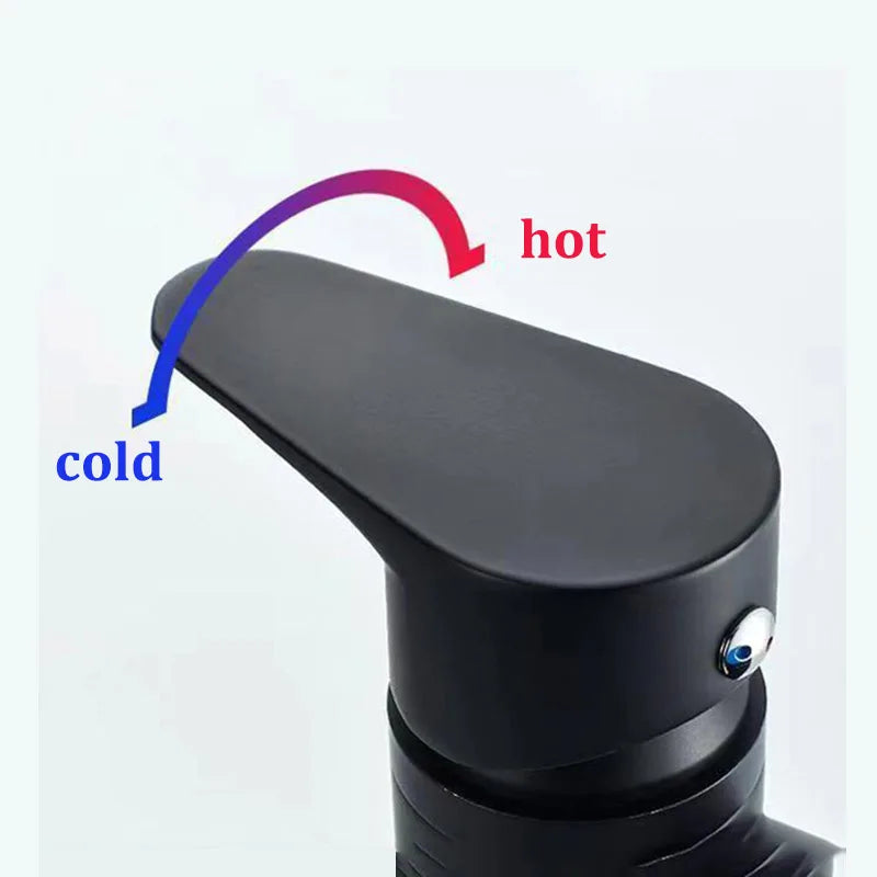 Stainless Steel Single-Handle Hot & Cold Bathroom Basin Faucet