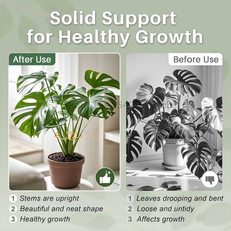 Adjustable Metal Plant Stem Support Flower Climbing Stem Holder Vine Branch Iron Hooks Garden Plant Climbing Plant Trainer Oasis Select