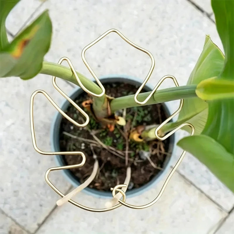 Anti-toppling Plant Stem Support No Nail Needed Multi-purpose Flower Climbing Stem Holder Vine Branch Monstera Stabilizer Oasis Select