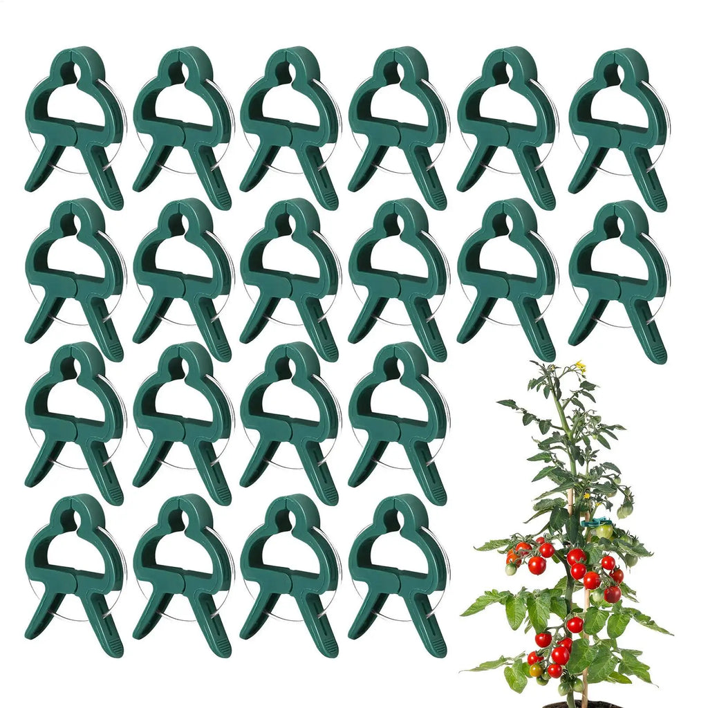 Plant Clips 20Pcs Plant Fixed Clips Reusable Garden Greenhouse Bracket Garden Plants Vine Climbing Clamp Flower Tomato Support Oasis Select