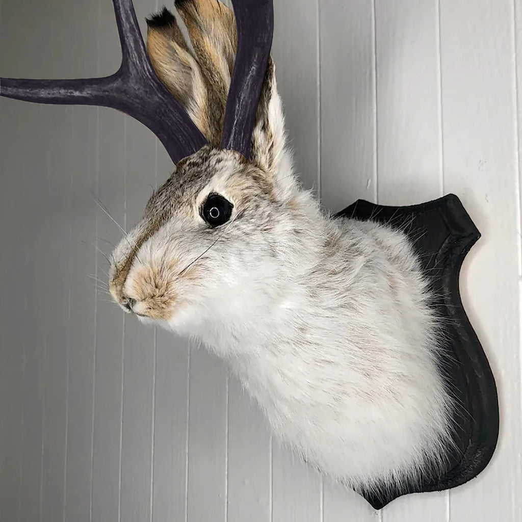 Easter Gift Bunny Head Antlers Wall Hanging Decoration Wall Decor Simulation Rabbit Specimen Resin Art Ornaments Jackalope Decor Oasis Select color One Size