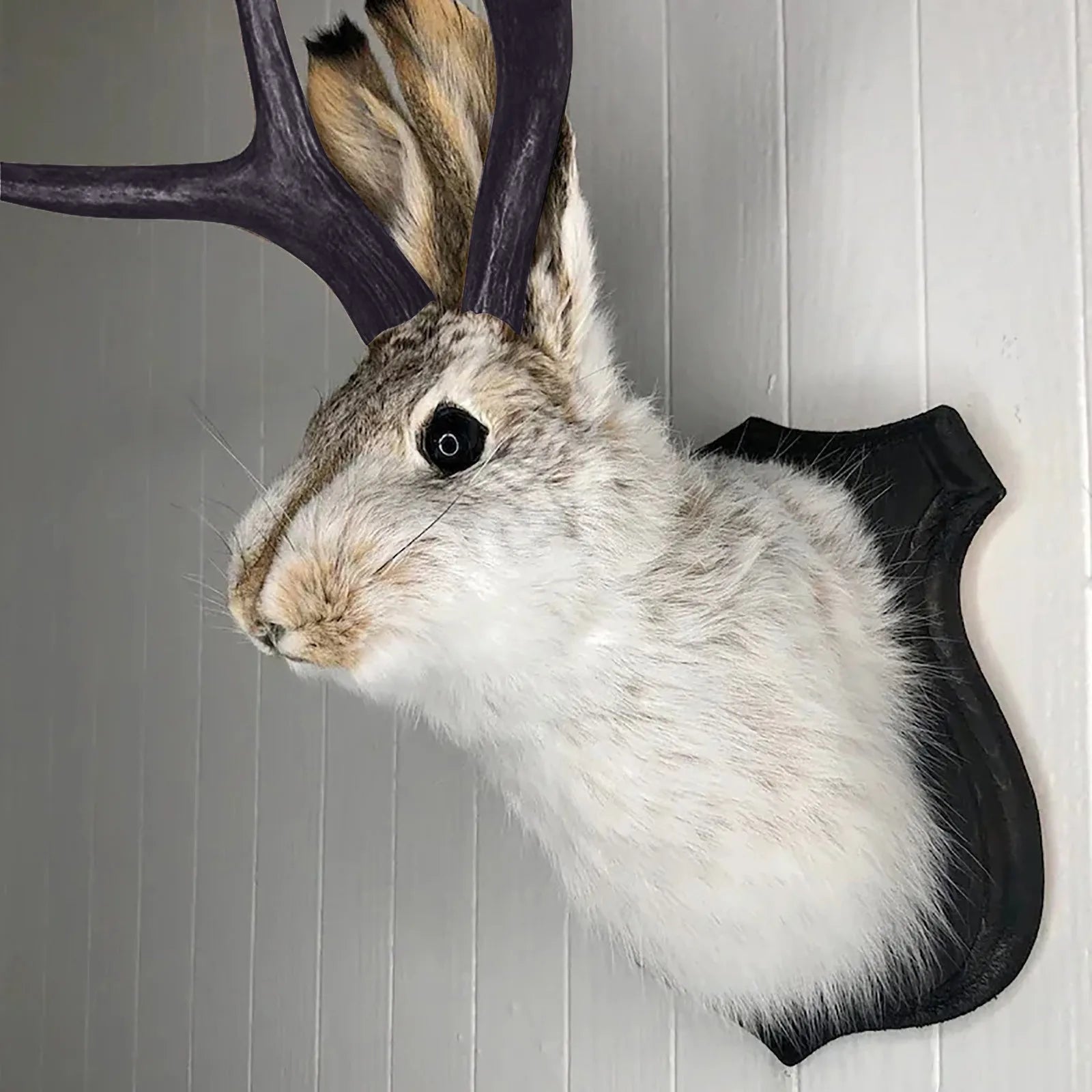 Easter Gift Bunny Head Antlers Wall Hanging Decoration Wall Decor Simulation Rabbit Specimen Resin Art Ornaments Jackalope Decor Oasis Select color One Size