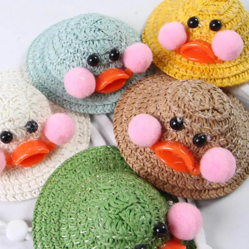 Cute Crochet Hat for Hamster, Guinea Pig & Small Pets