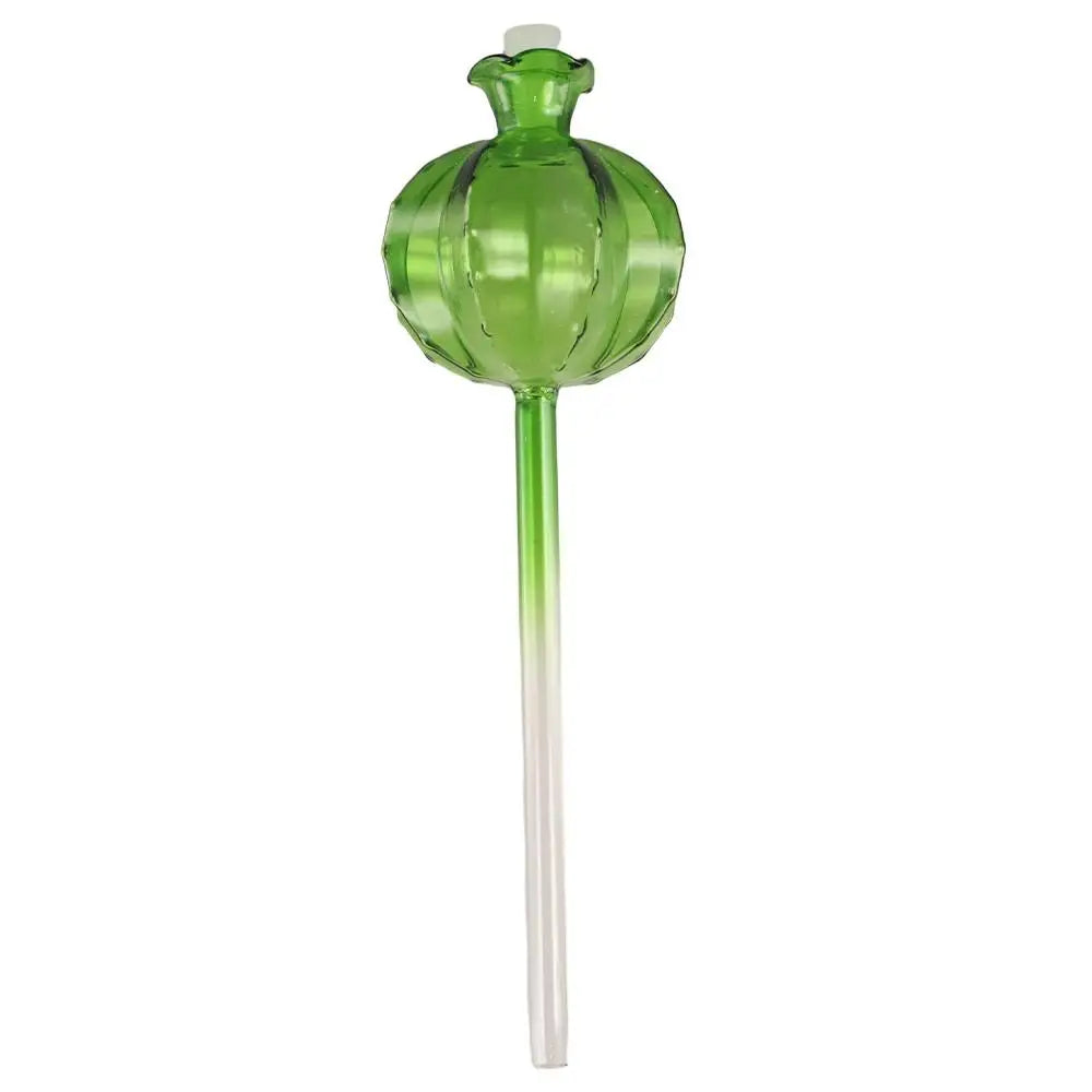 Cactus Glass Self-Watering Plant Bulbs | Automatic Feeder