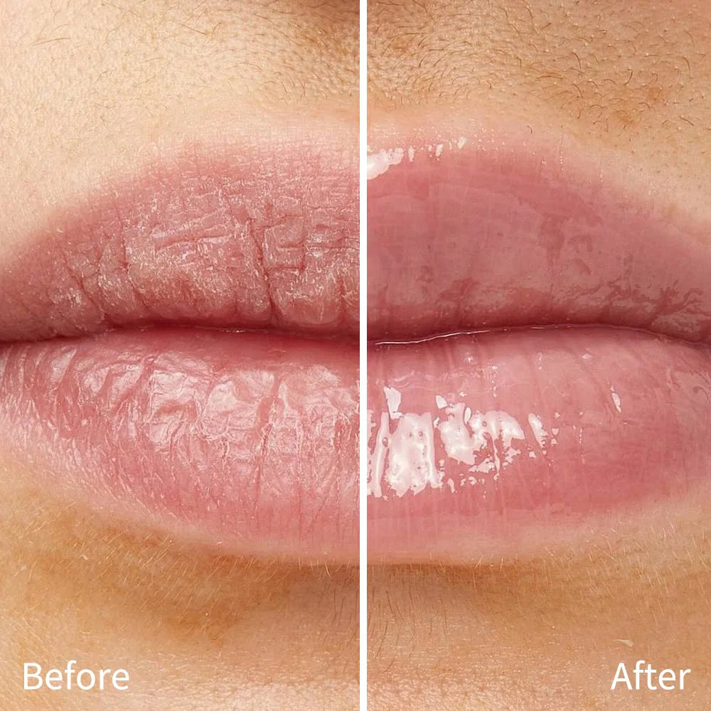Lip Balm Glossy Glazed Finish Improves Lip Lines Hydration Plump Lip Balm 24HR Long Lasting Moisturizing Treatment 10 Colors Oasis Select