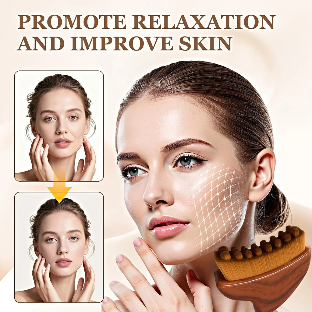 2PCS Portable Dry Facial Brush Soft Bristles Contoured Lymphatic Massage Tool Face Home Spa Gentle Exfoliation Brush ﻿ Oasis Select