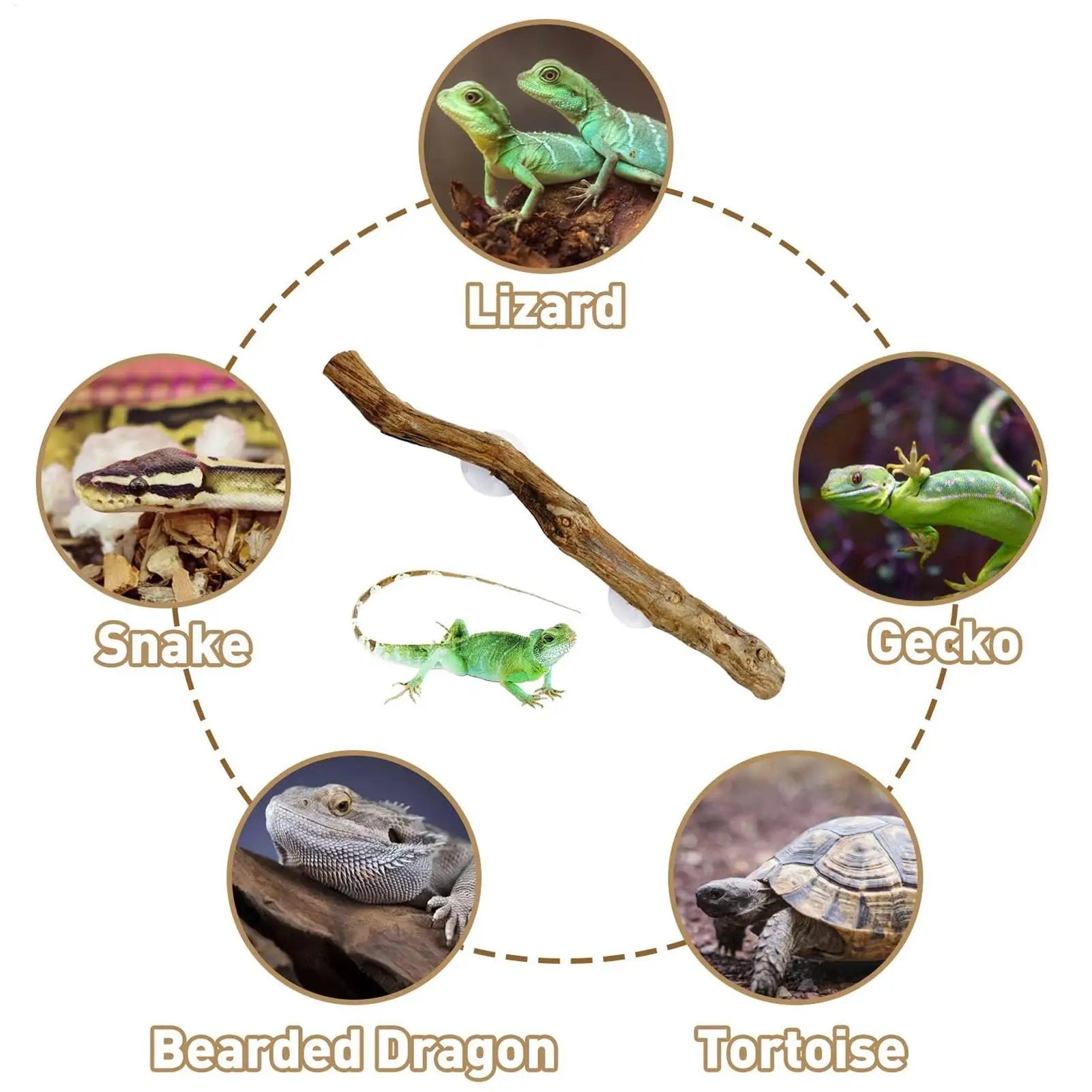Snake Climbing Branch Unique Snake Climbing Decor Natural Non-slip Habitat Decorations Reptile Decor for Bearded Dragon Snake Oasis Select