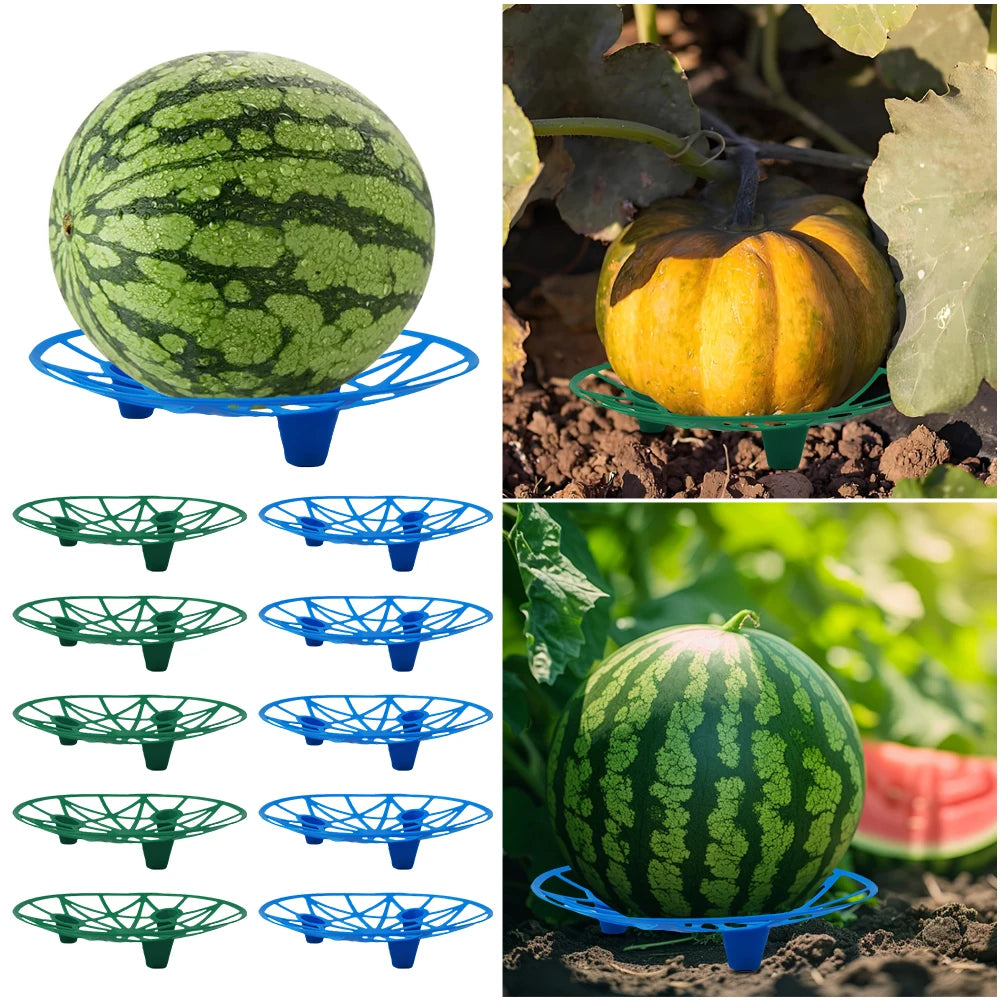 10pcs Watermelon Cradle Reusable Fruits Vegetables Nursery Tray Vegetables Plant Holder for Watermelons Pumpkins Melons Squash Oasis Select