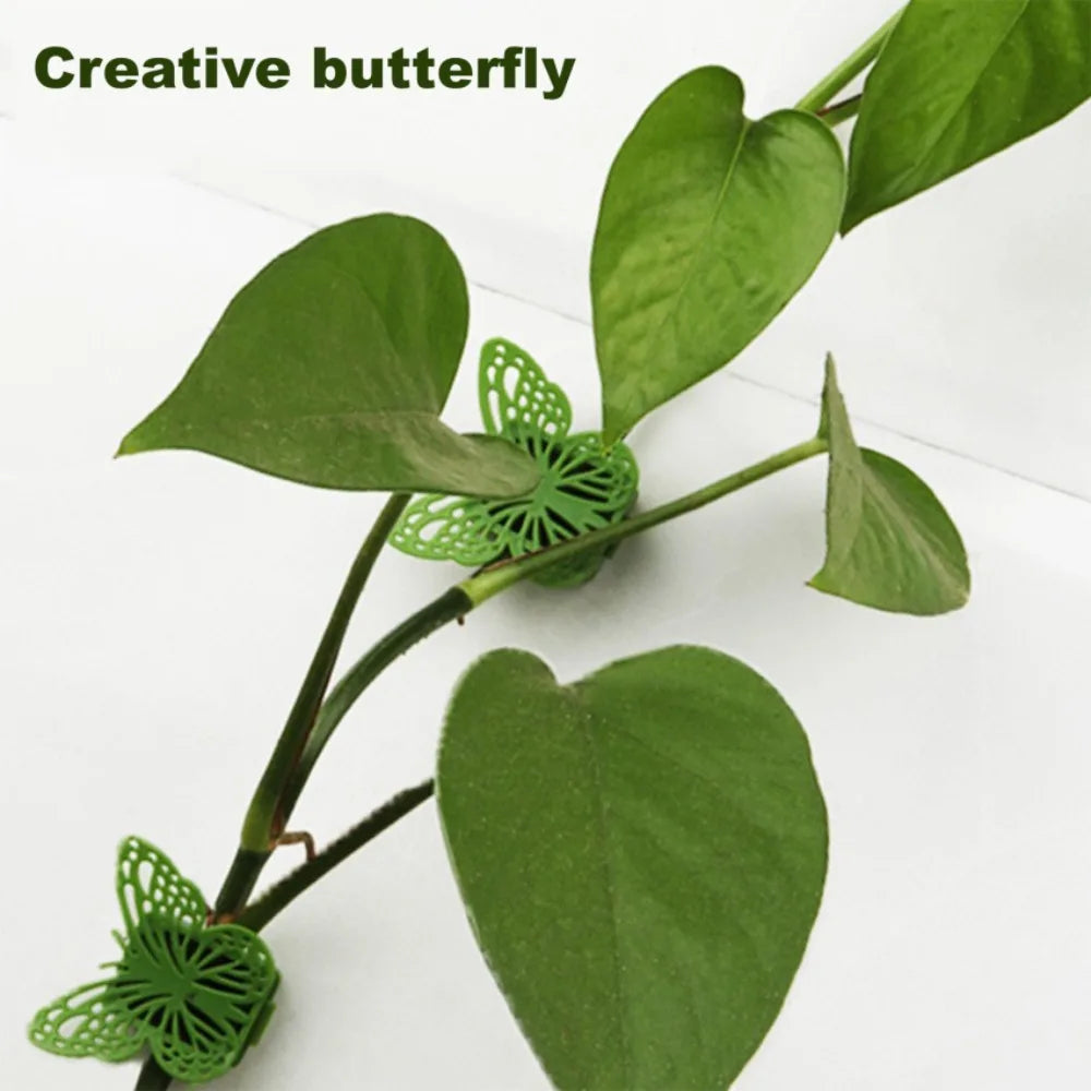 Bracket Hook Flowers Holder Hooks Vegetables Tied Fixed Wall Vines Fixture Plant Support Plant Climbing Clip Plants Bracket Oasis Select