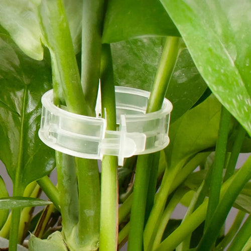 100Pcs Plant Support Clips Plastic Ties Trellis Stake Clips Garden Veggie Tomato Greenhouse Holder For Garden Tools Accessories Oasis Select