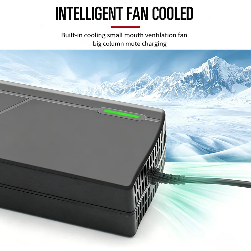 12V 10A Smart LiFePO4 Battery Charger 14.6V 4S AC110-240V
