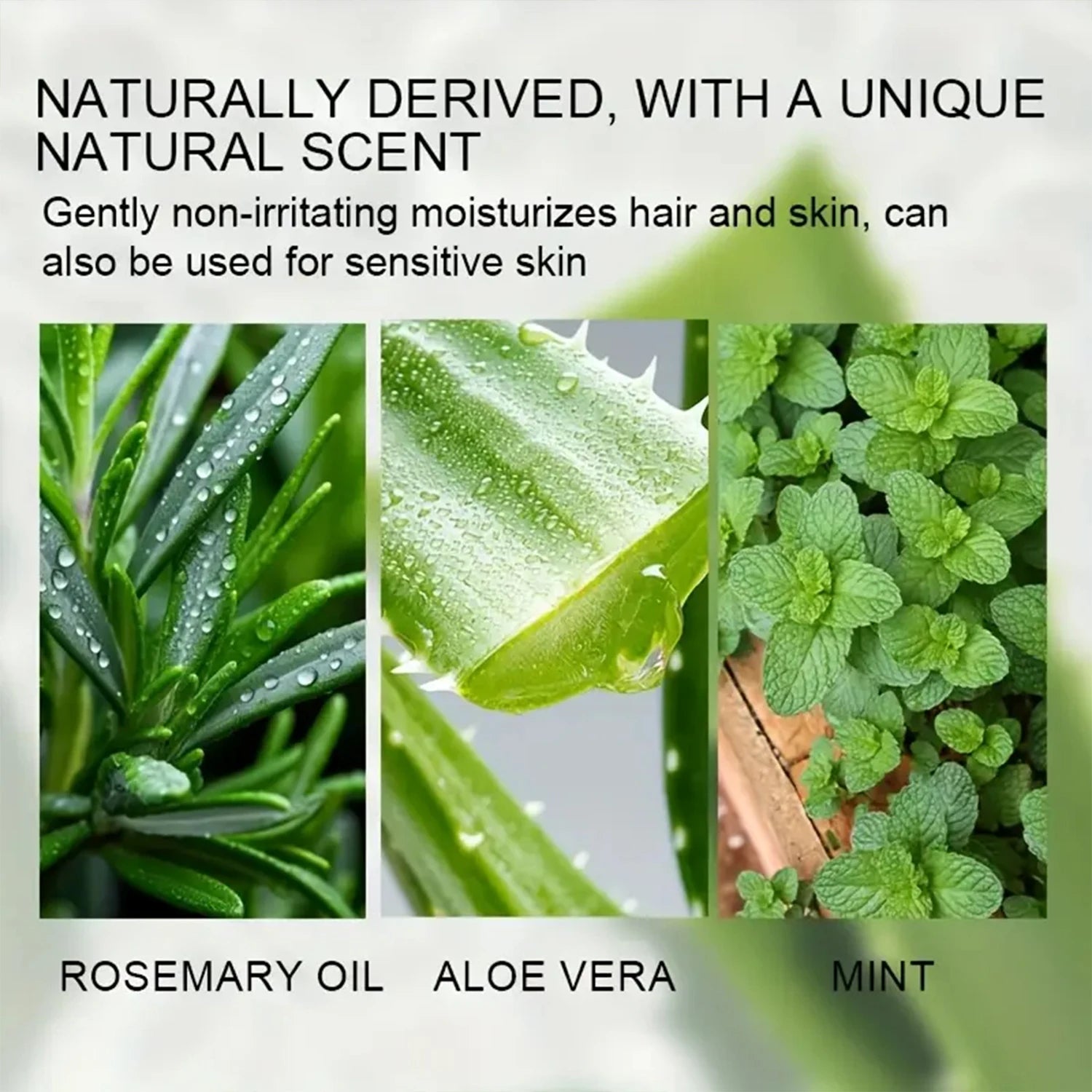 Aloe Vera Facial Firming Cream 45g – Moisturize & Firm Skin Facial Firming Cream Oasis Select