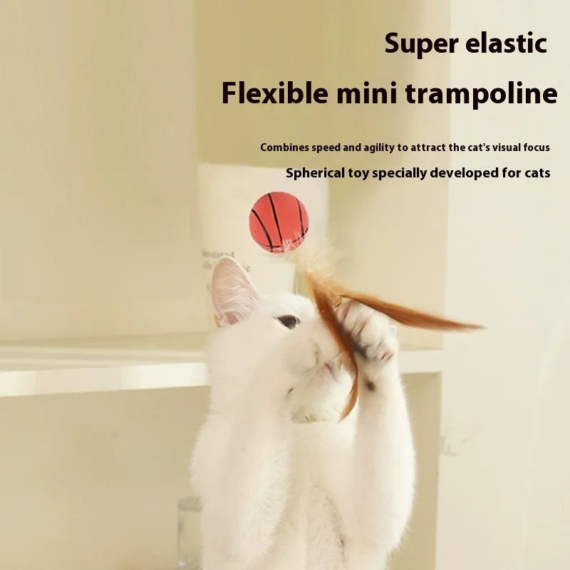 New Popular Chicken Feather Rubber Elastic Ball Feather Throwing Cat Toy for Self-entertainment and Boredom Pet Toy Oasis Select